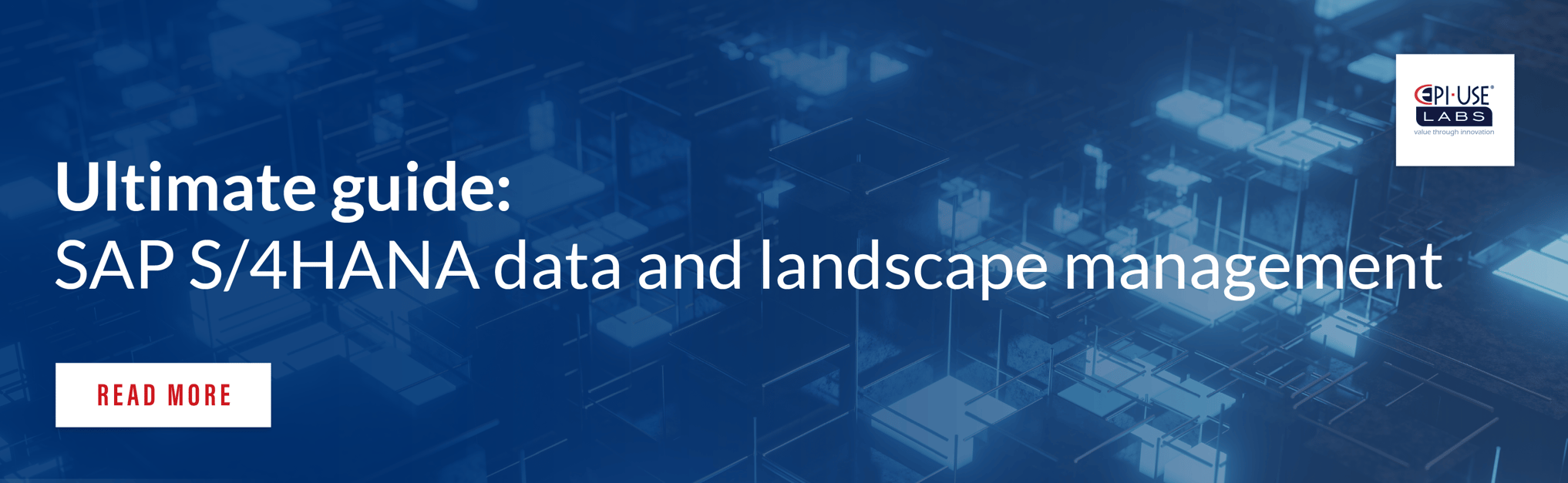 Launching our Ultimate guide SAP S/4HANA data and landscape management